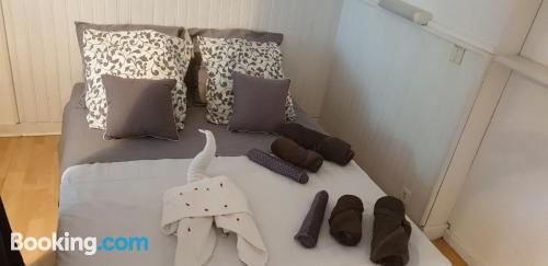 带园景一室公寓