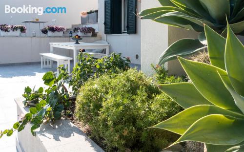 别墅（带独立泳池）