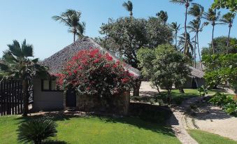 Chic Hotel Boutique - Housity
