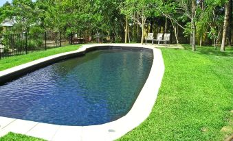 a long , rectangular swimming pool surrounded by lush green grass and trees , with lounge chairs placed around it at Emeraldene Inn & Eco-Lodge