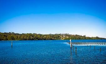 a large body of water with a dock on the left side and a hill in the background at Top of the Lake Holiday Units