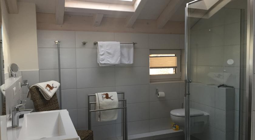 高级公寓（带桑拿浴室）