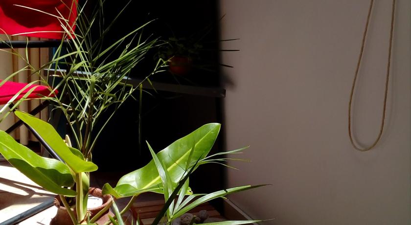 公寓 - 地面楼层