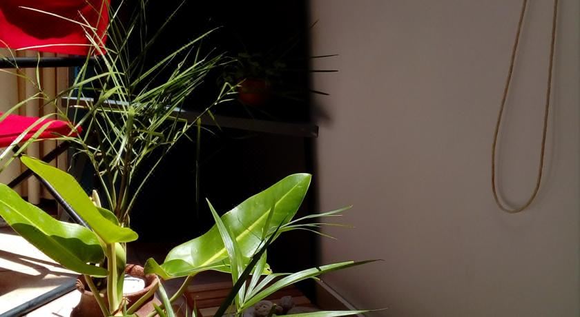 公寓 - 地面楼层