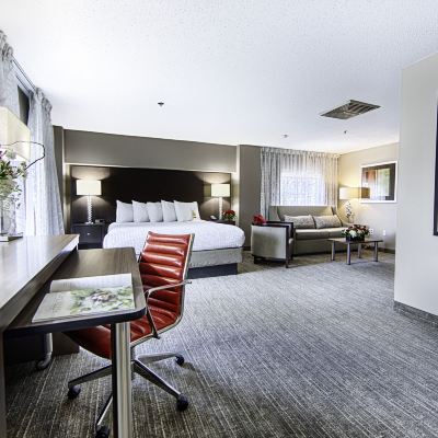 Standard Suite, 1 King Bed, Multiple View Hotel Capstone Promo Code