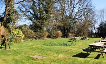 a grassy field with picnic tables and benches , surrounded by trees and a clear blue sky at The Bowl Inn