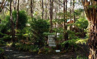 Volcano Village Lodge