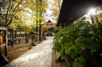 Hotel Cornul Vanatorului Hotels in 