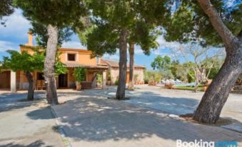 Ideal Property Mallorca - Villa Erika