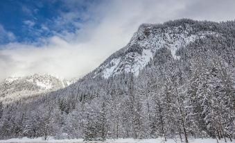 a snow - covered mountain with trees and a river , creating a serene winter landscape under a cloudy sky at Boulder Mountain Resort