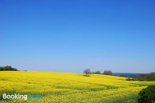 公寓 - 地面楼层