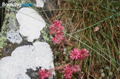 小木屋 - 带私人户外热水浴池