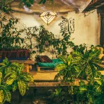 Caracolito Hostal Hotels in 