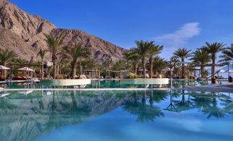 a large swimming pool surrounded by palm trees , with mountains in the background and clear blue skies at Six Senses Zighy Bay