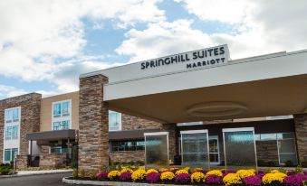 SpringHill Suites Somerset Franklin Township