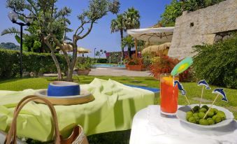 a picnic table set up in a lush green garden , with a bowl of oranges and a cup of juice on the table at Hotel la Luna