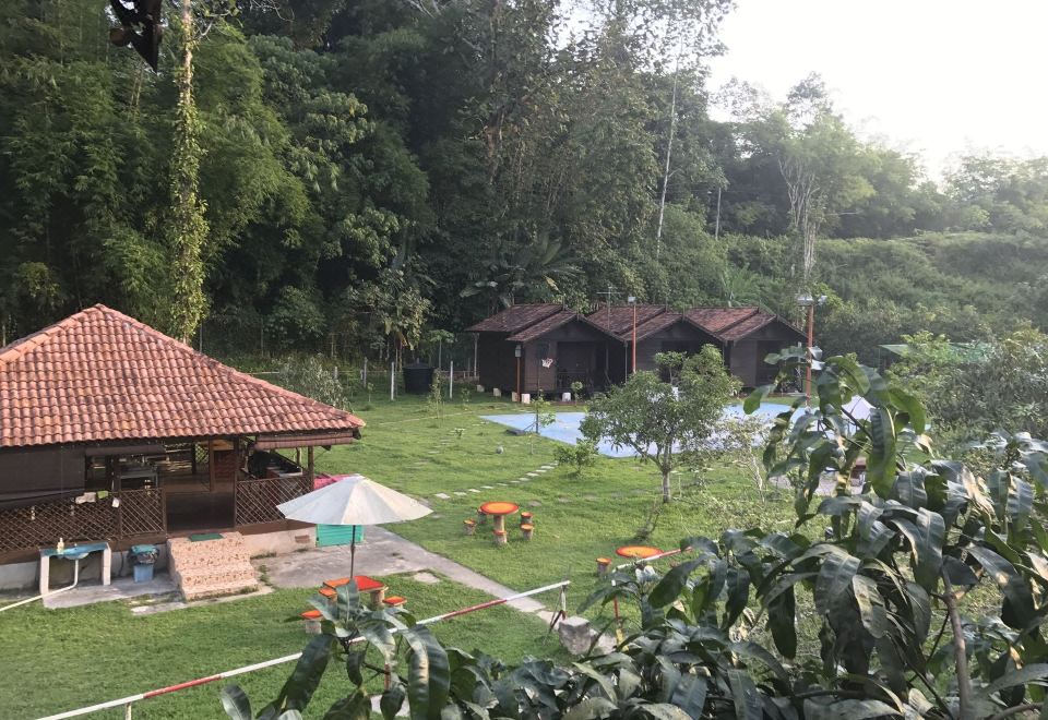 a lush green field with a wooden cabin in the background , surrounded by trees and a pool at Happy Paradise