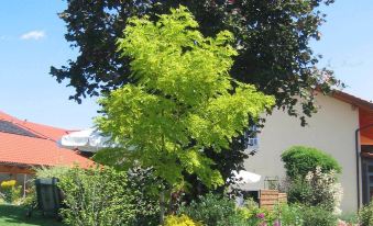 Wirth z ´ Moosham - Housity
