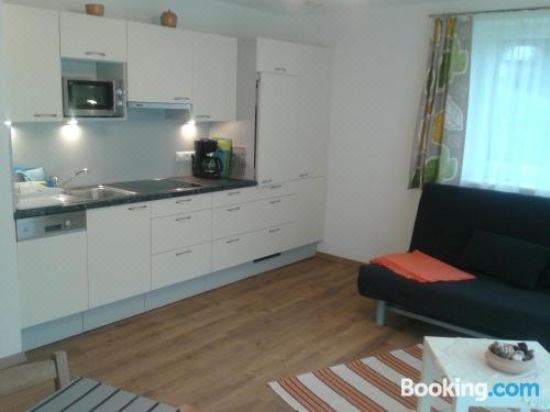 一卧室公寓 - 带露台