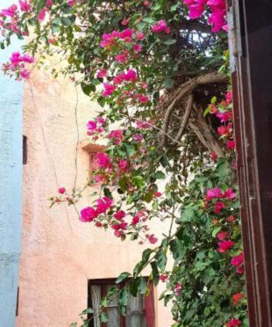 豪华双人房，独立浴室