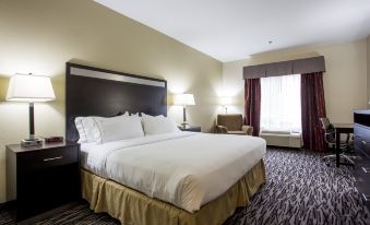 Holiday Inn Express & Suites Camden-I20 (Hwy 521)