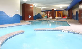 Holiday Inn Omaha Downtown - Waterpark