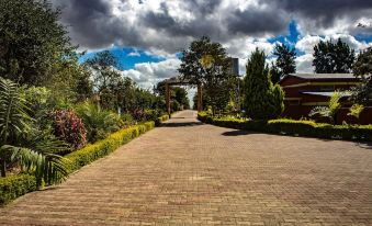Dream Valley Park & Lodge - Housity