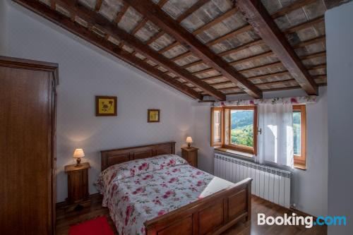 别墅（带独立泳池）