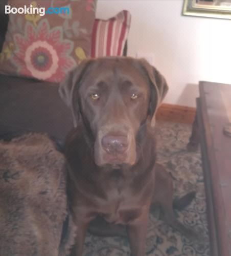 一室房（带阳台）