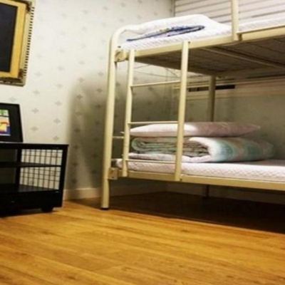 버짓 트윈룸 홍대 올리브 게스트하우스 쿠폰
