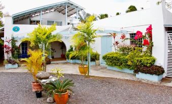 a white building with blue trim , surrounded by a garden filled with potted plants and cacti at Paradise Inn
