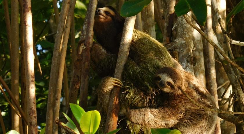 享有花园景致的公寓