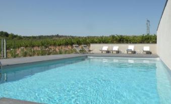 Luxurious Villa with Swimming Pool in Rieux-Minervois France