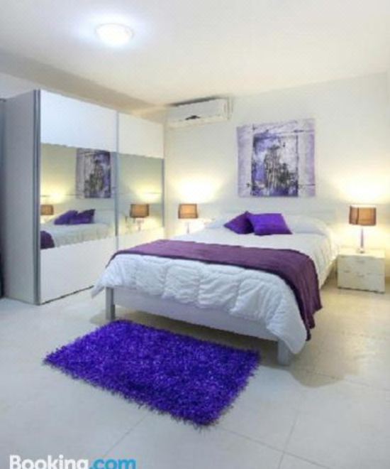 别墅（带独立泳池）