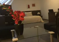 Penzion Luxor Ξενοδοχεία στην πόλη 