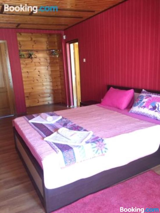 别墅（带独立泳池）