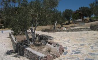 Evim Zeytinlik Pension - Housity
