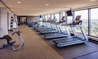 a gym with multiple treadmills and other exercise equipment , as well as large windows offering views of the outdoors at Hilton Shreveport
