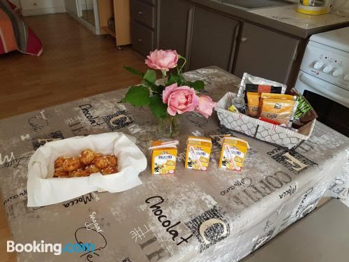 带园景一室公寓