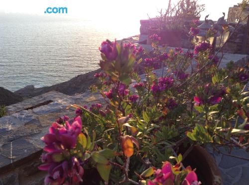 两卧室公寓 - 错层式