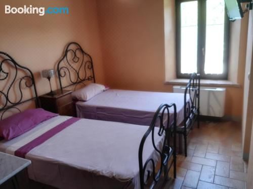 双人或双床房享有园景