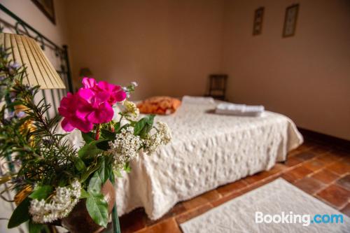 别墅（带独立泳池）