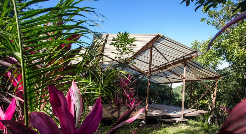 Omega Tours Eco-jungle Lodge - La Ceiba