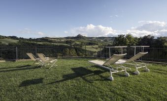 a lush green lawn with several lounge chairs placed around it , providing a relaxing environment for guests at Albergo Posta Marcucci