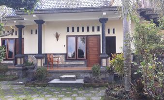 Padi Bali Guest House