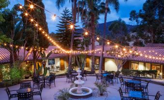 an outdoor dining area with tables , chairs , and umbrellas , surrounded by palm trees and lit up by string lights at Catalina Canyon Inn