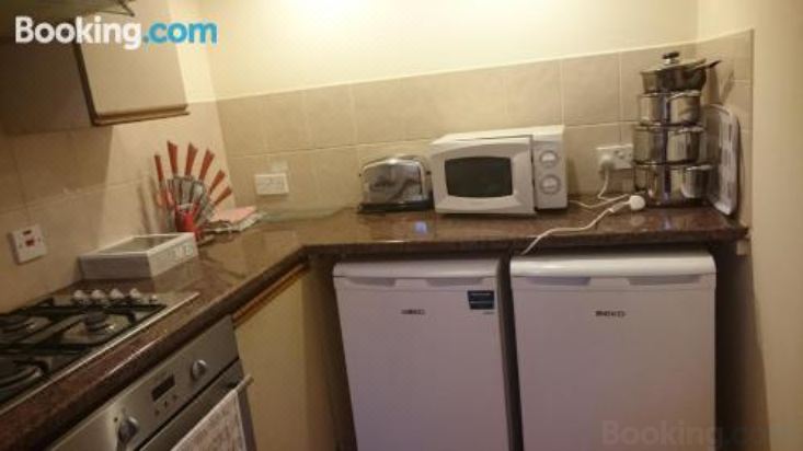 豪华一卧室公寓