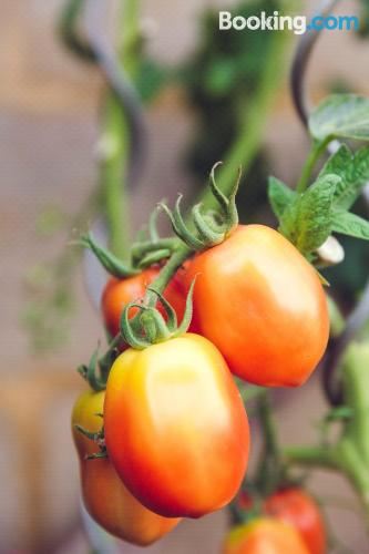 Appartamento la PinetinaApartment