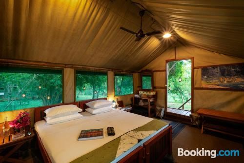 帐篷房（Safari）