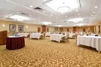Clarion Hotel Airport Hotels in 